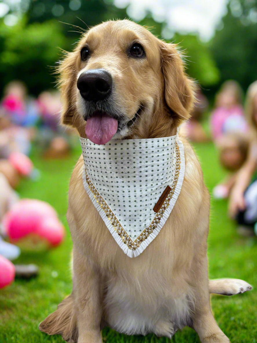 White Dog Bandana with Green Polka Dots & Lace – Soft, Stylish & Dori-Tie Closure