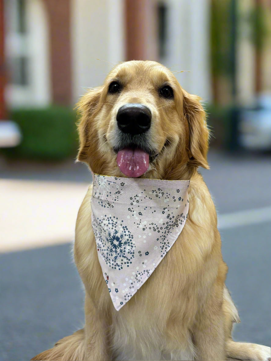 Golden retriever wearing a bandana