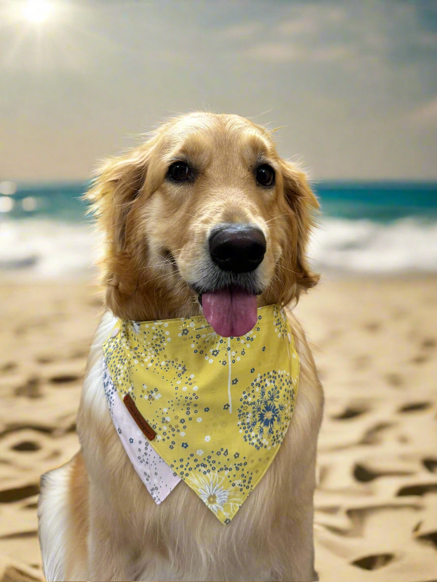 Two-Way Reversible Dog Bandana – Wear with Collar or Tie-up String