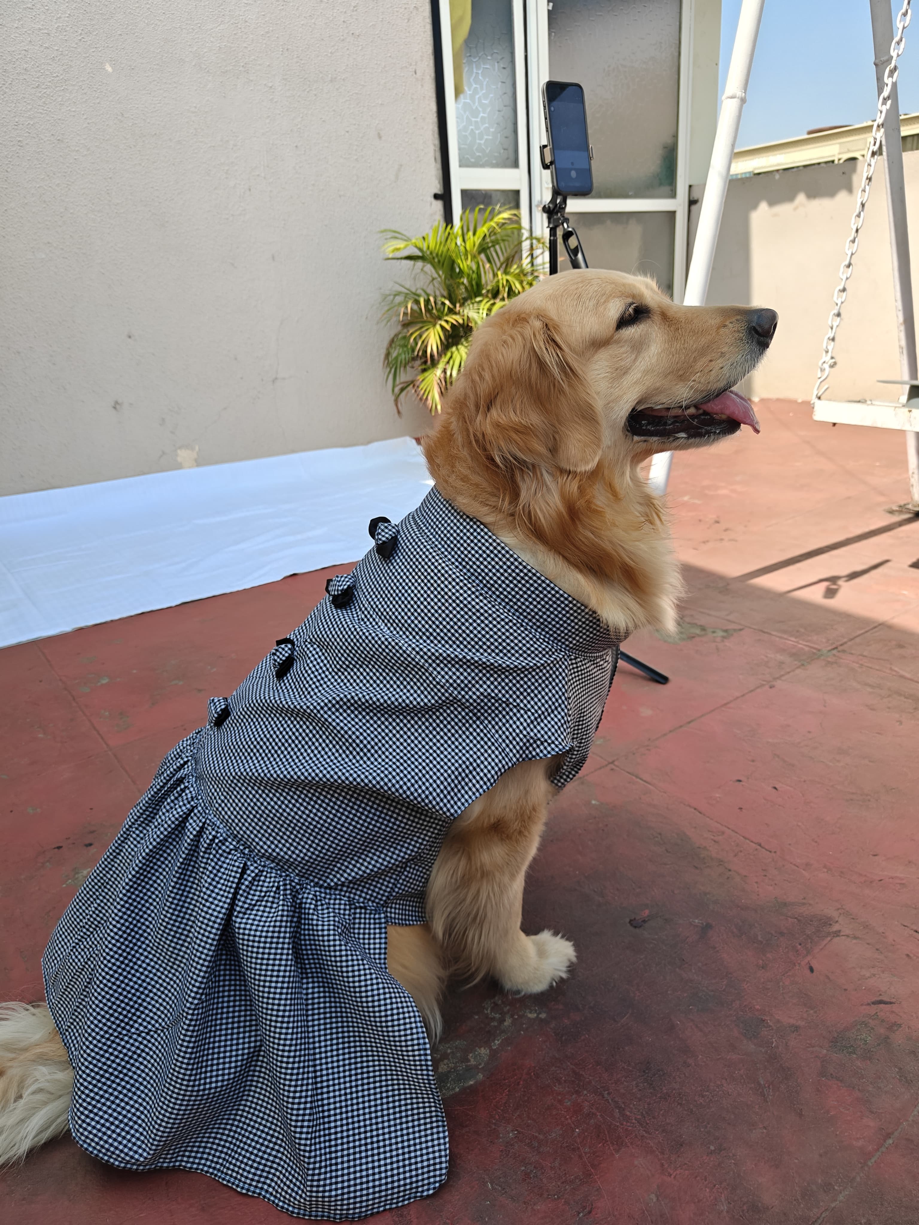 Frock