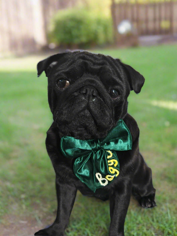 Bows