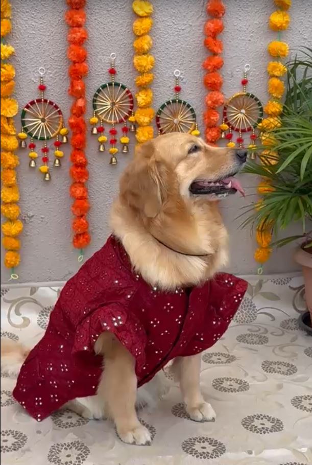 Red Mirror Work Kurta with Ruffles and Frills