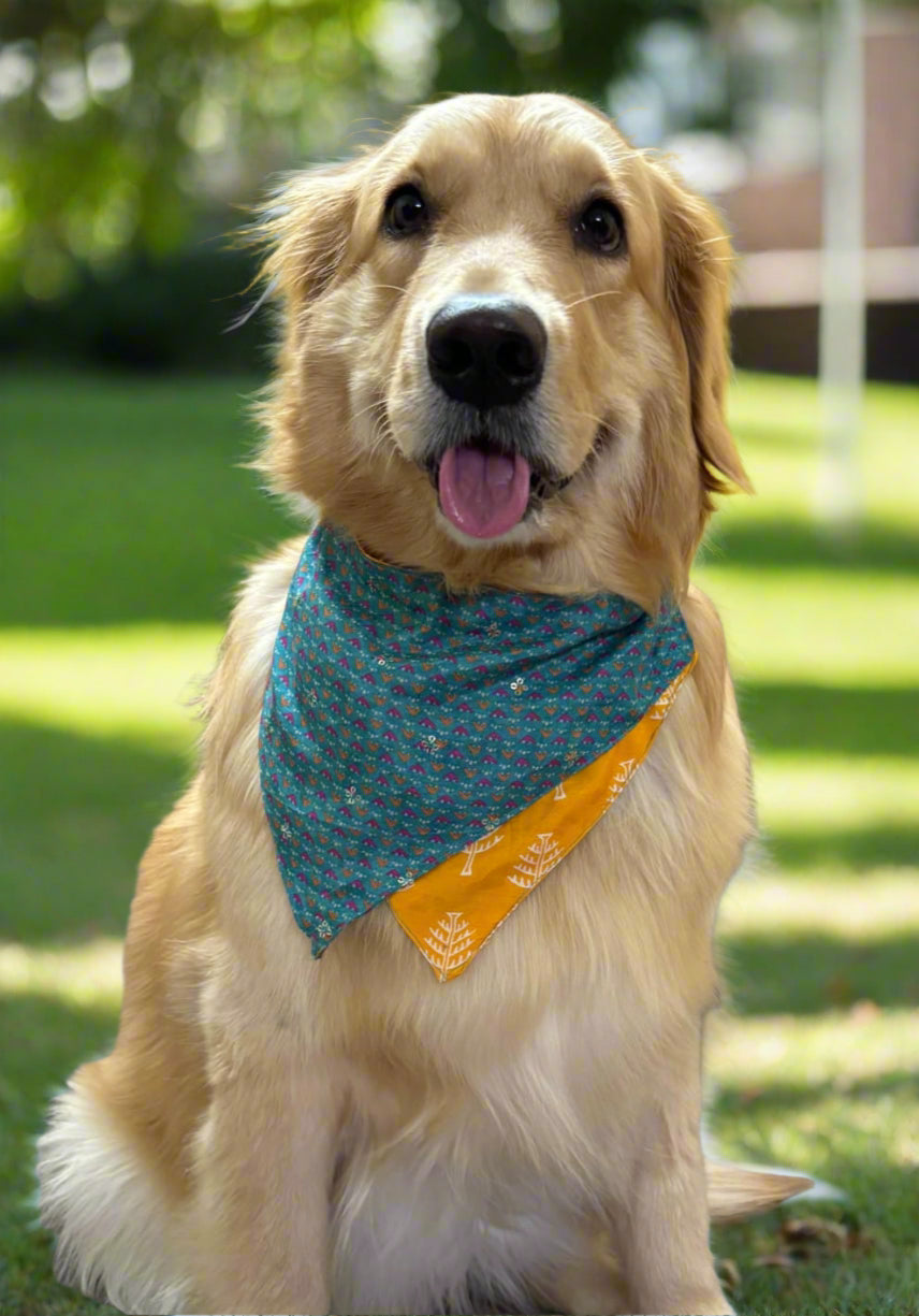 Two-way Reversible dog bandana - Yellow and Teal