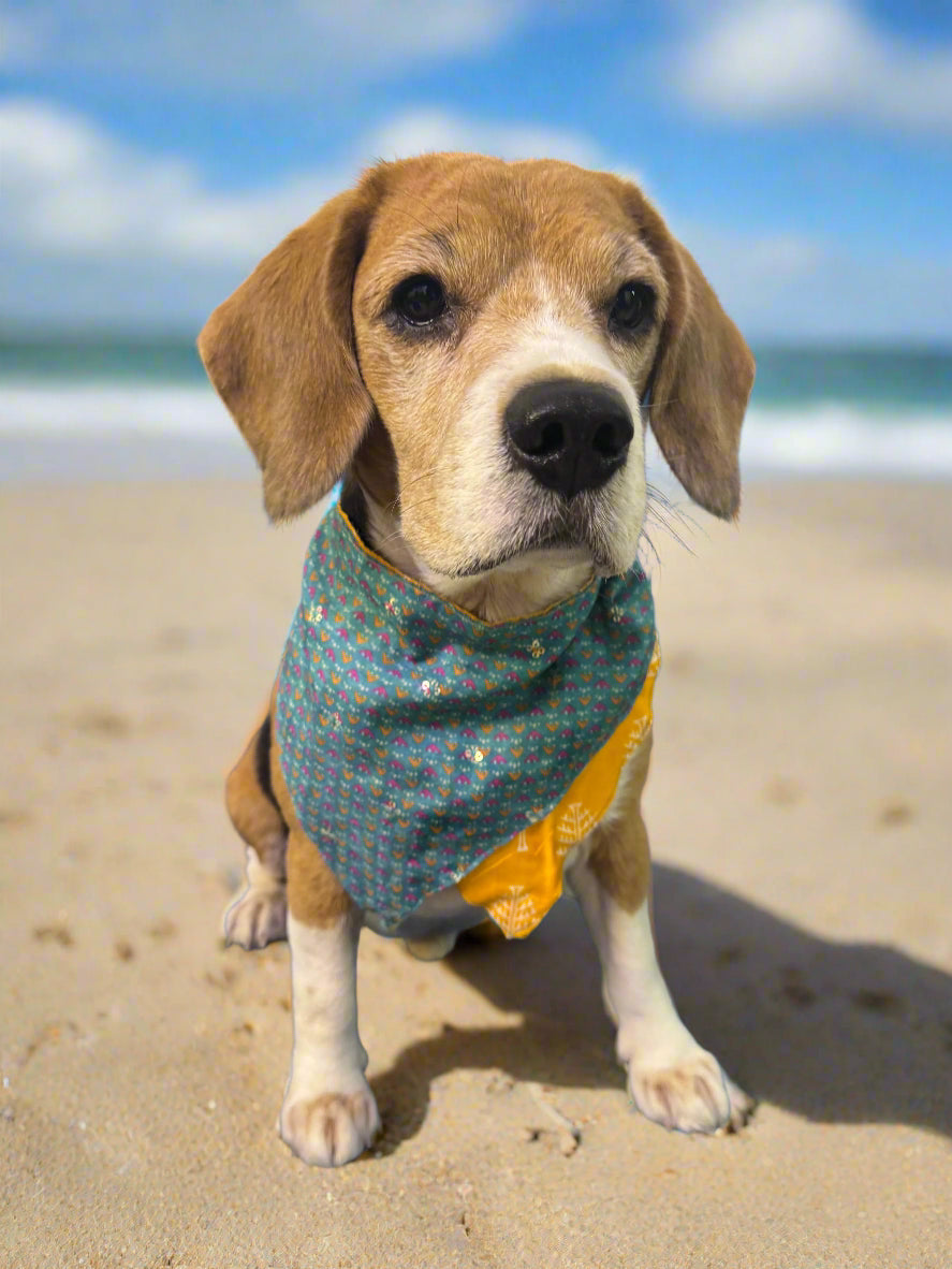 Two-way Reversible dog bandana - Yellow and Teal