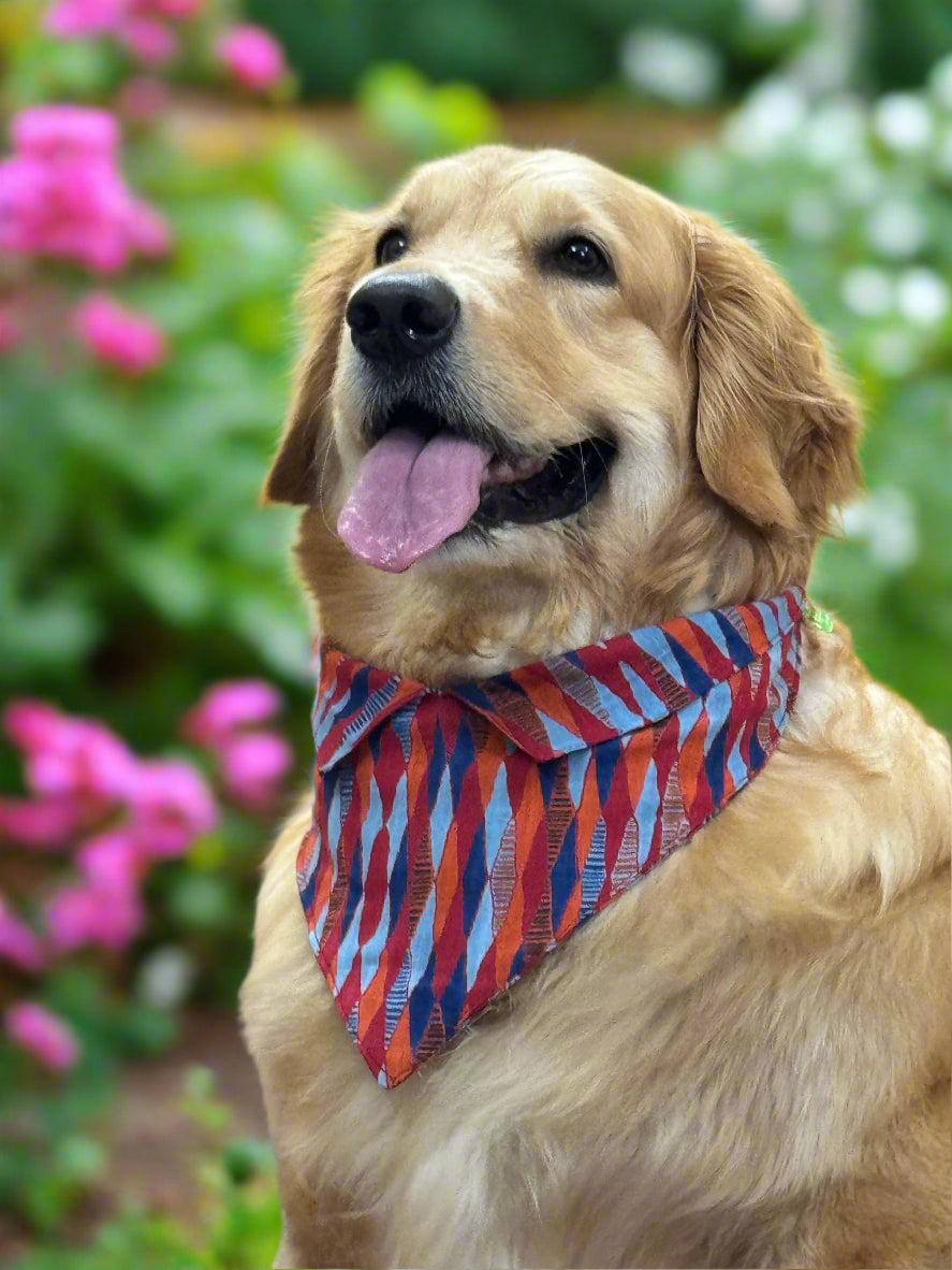 Geometric Print Dog Bandana with Shirt Collar