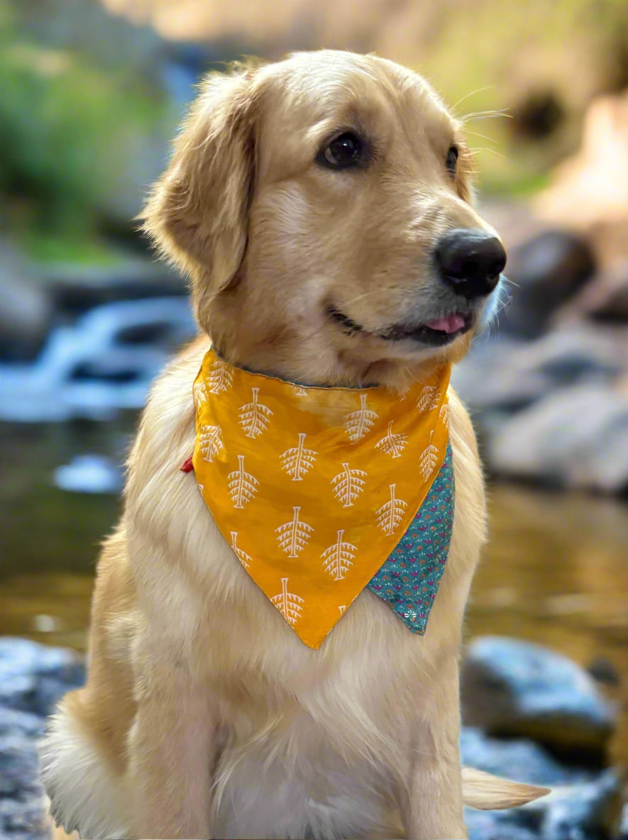 Two-way Reversible dog bandana - Yellow and Teal