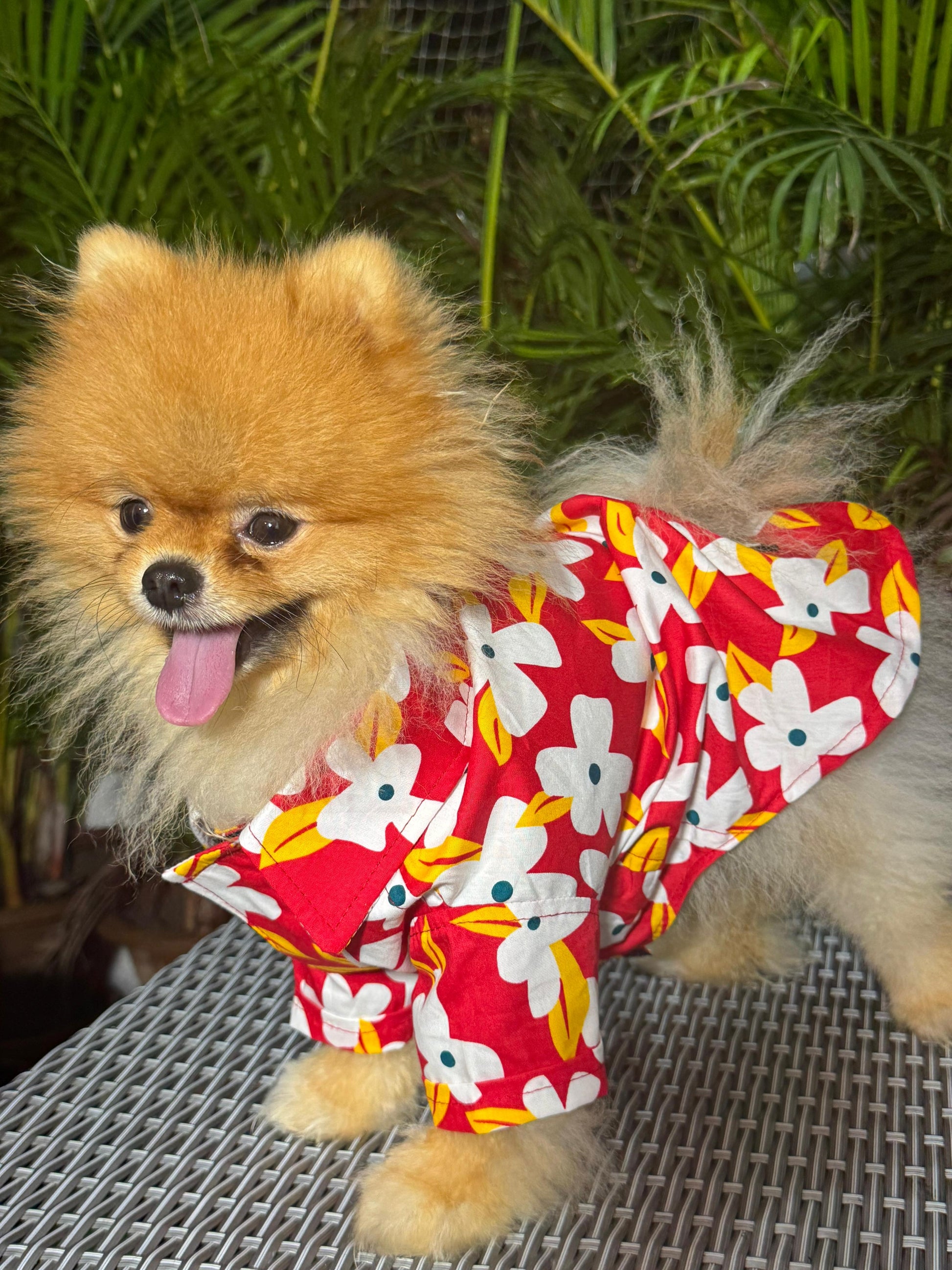 Island Bloom Dog Shirt – Red with White Flowers