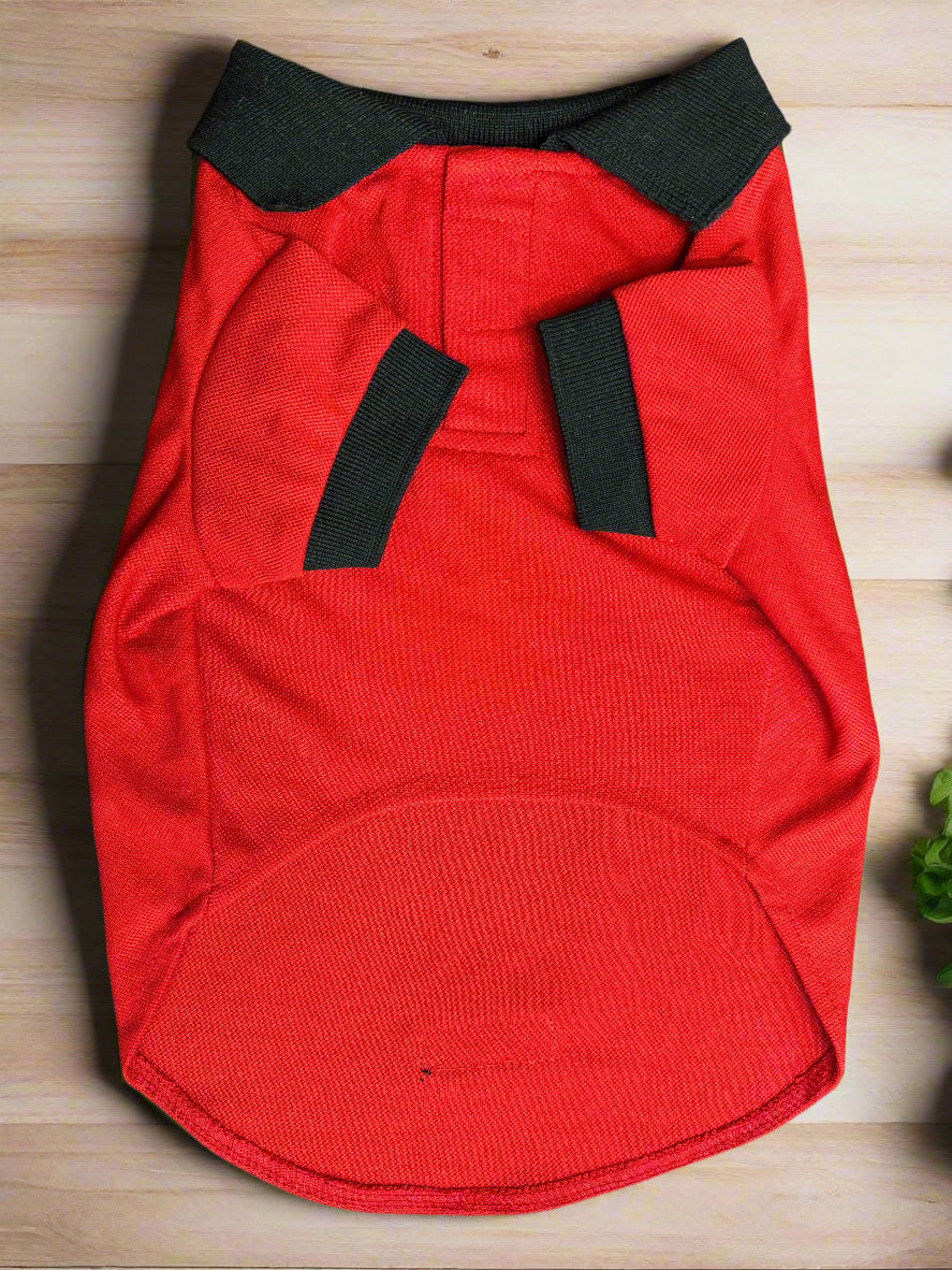 Red dog coat with black trim 
