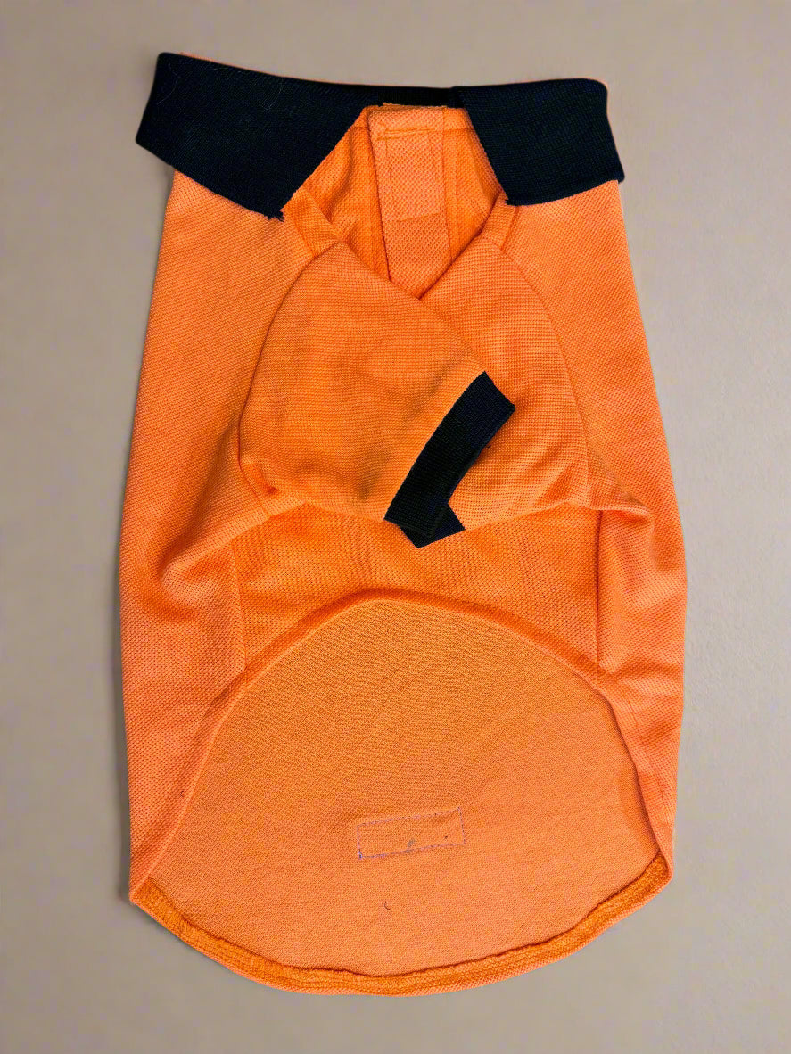 Orange dog coat with black collar 