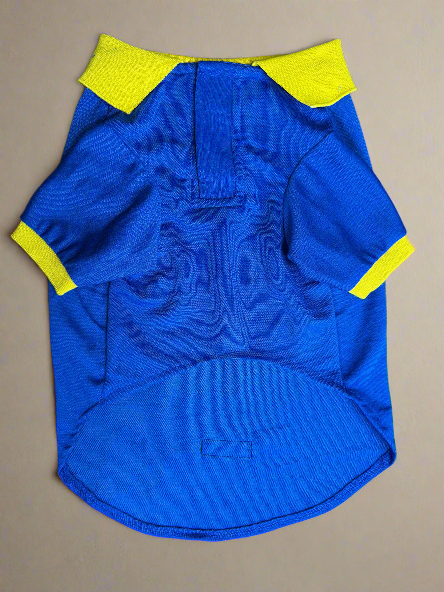 Vibrant Blue T-Shirt with Yellow Trim
