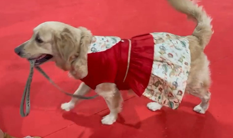 Heritage Charm Red and White dress