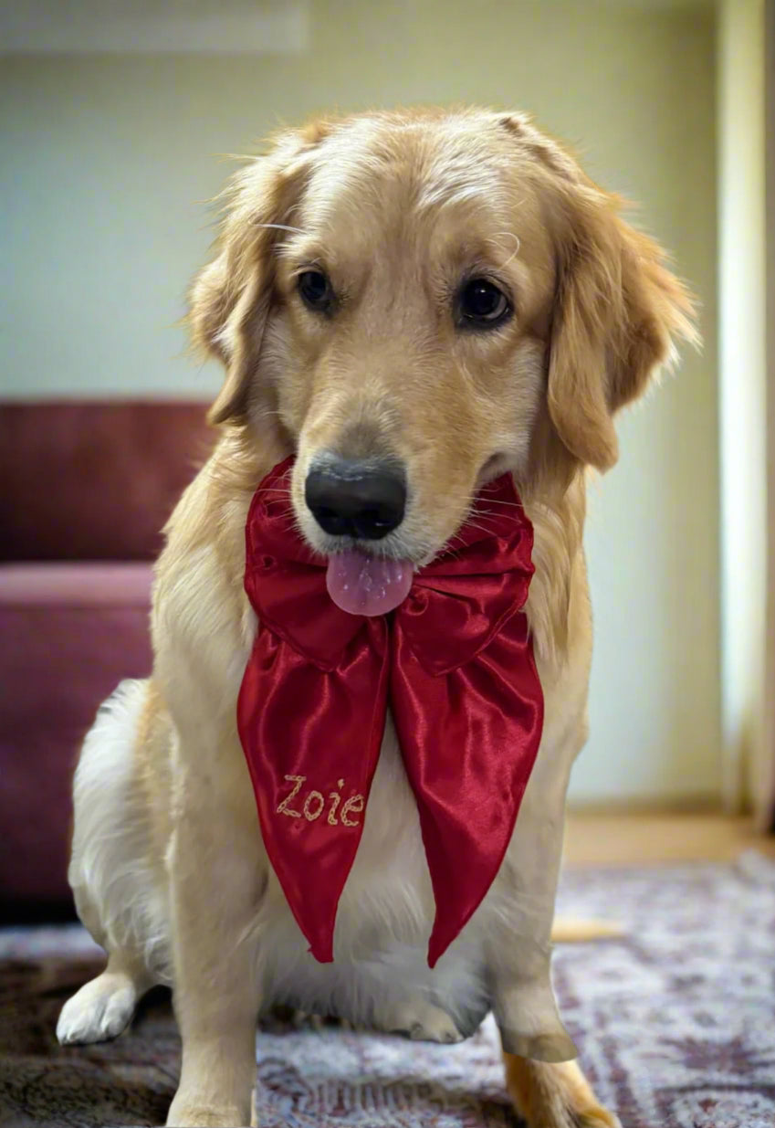 Personalized Red Dog Tinker Bell Bow with Hand Embroidered Name – Custom Pet Accessory