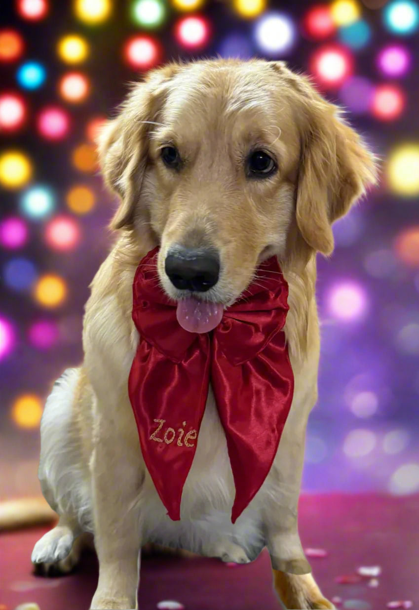 Personalized Red Dog Tinker Bell Bow with Hand Embroidered Name – Custom Pet Accessory
