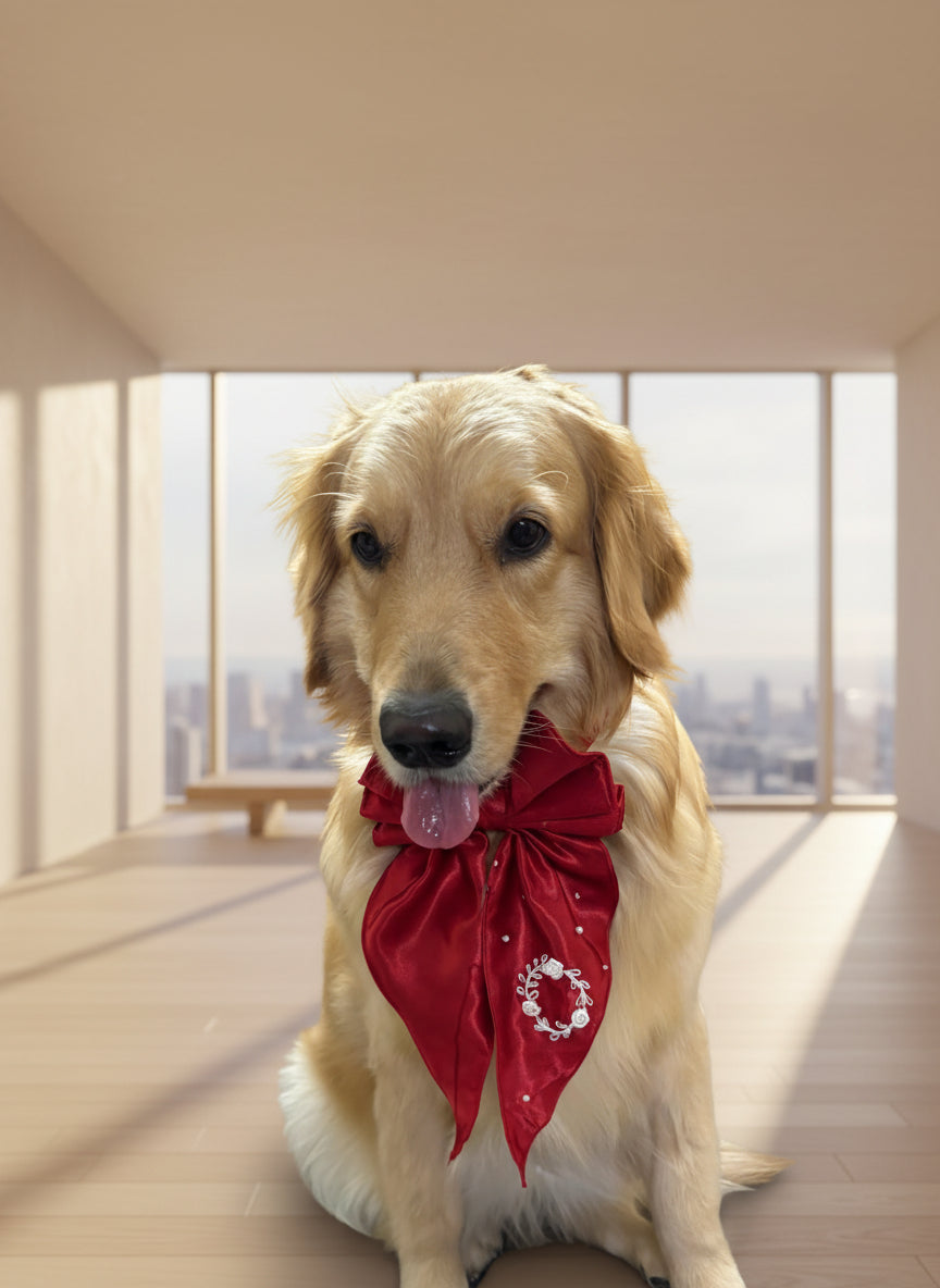 Golden retriever wearing a red bow tie sitting on a couch