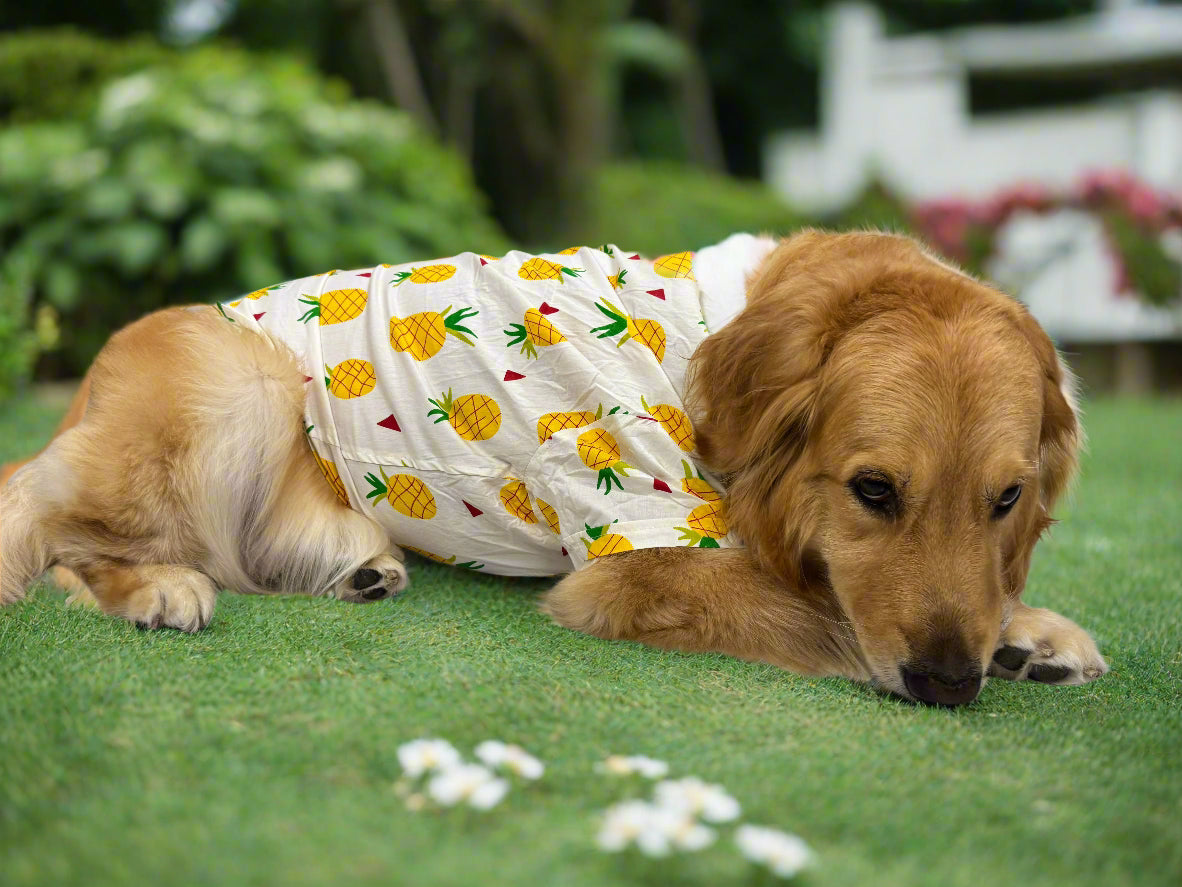 Tropical Pineapple Cotton Shirt