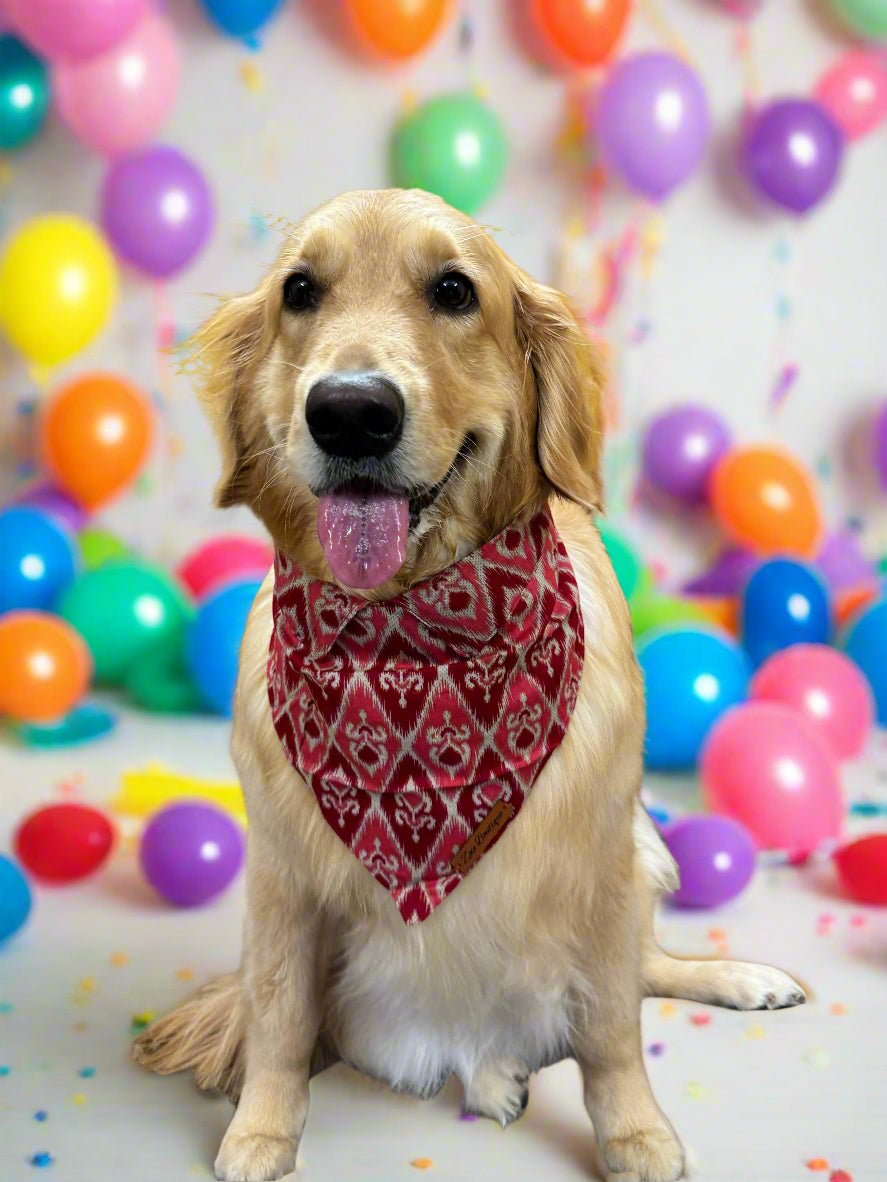 Ikat Dog Bandana with Shirt Collar Style