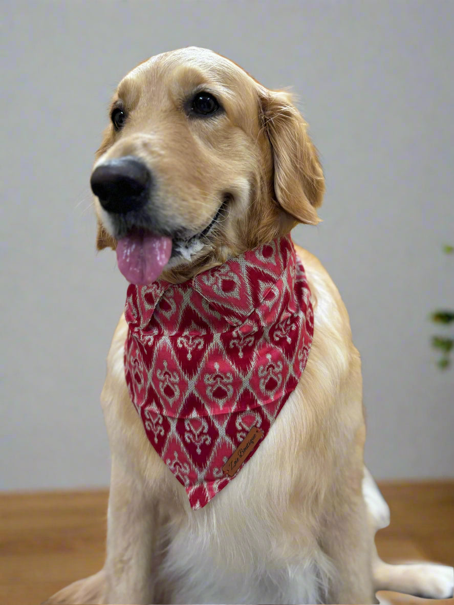 Ikat Dog Bandana with Shirt Collar Style