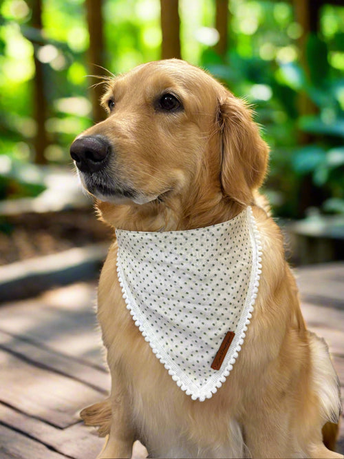 Adjustable Tie-Up Polka Dots Dog Bandana with Dori