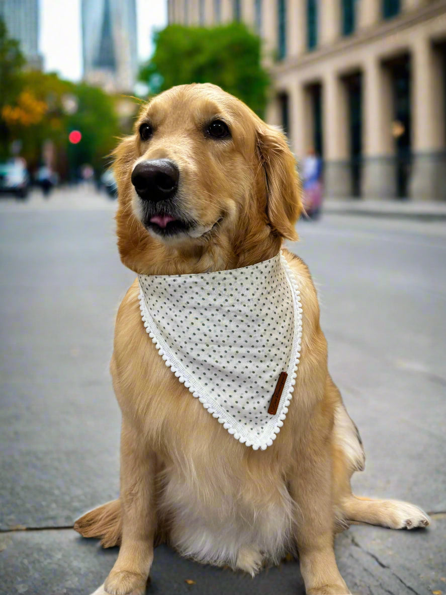 Adjustable Tie-Up Polka Dots Dog Bandana with Dori
