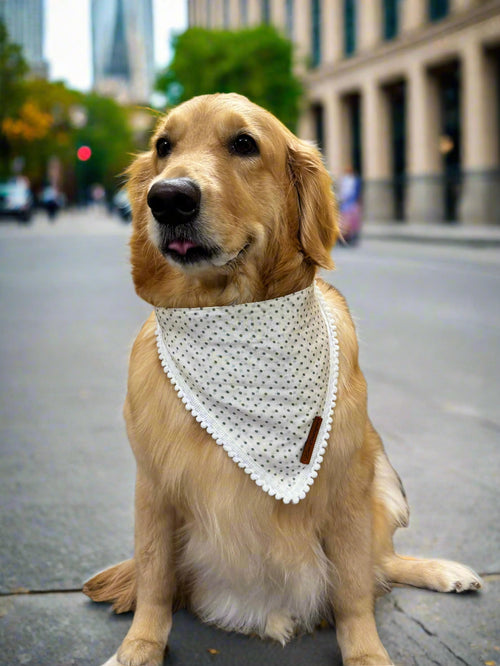Adjustable Tie-Up Polka Dots Dog Bandana with Dori