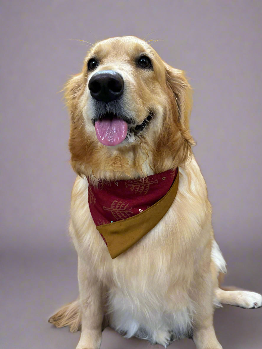 Reversible Dog Bandana with Dori / Tie Strings - Red and Brown