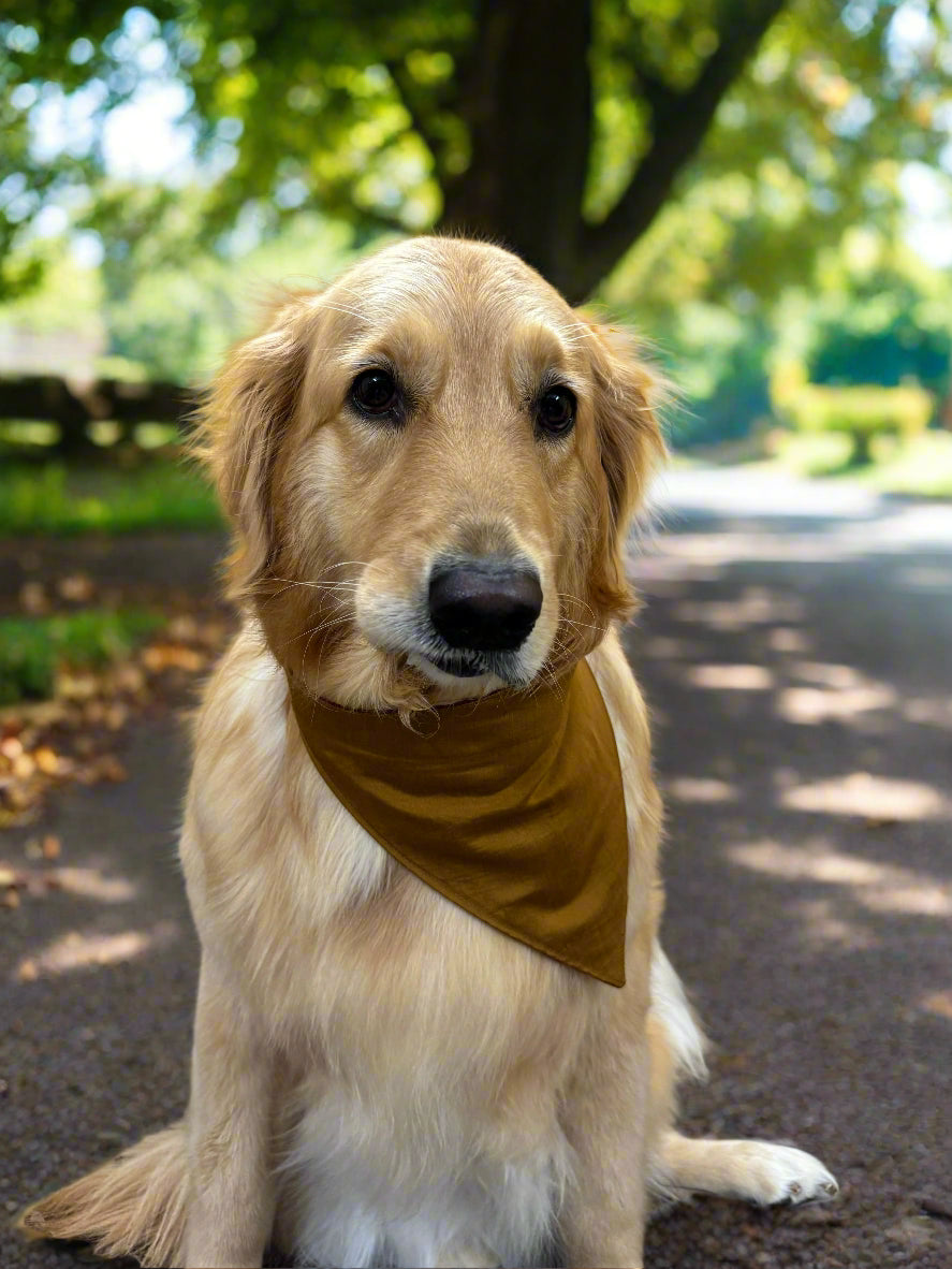 Reversible Dog Bandana with Dori / Tie Strings - Red and Brown