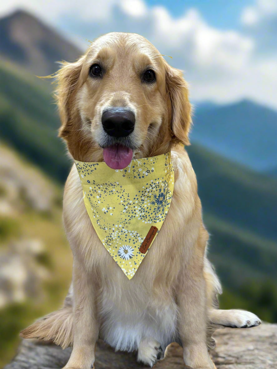 Reversible Dog Bandana with Dori / Tie Strings - Yellow and Pink