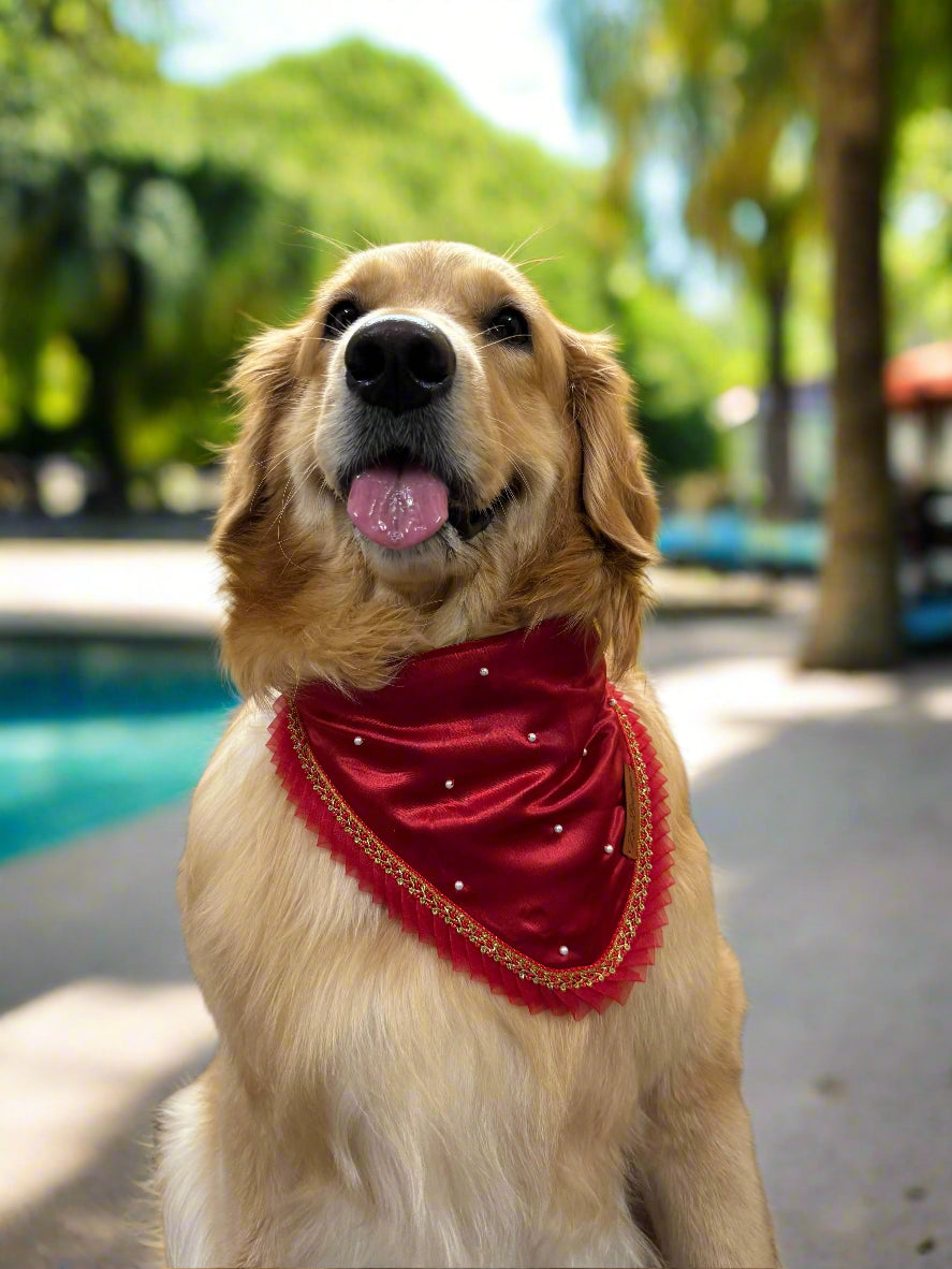 Red Dog Bandana with Pearls & Lace