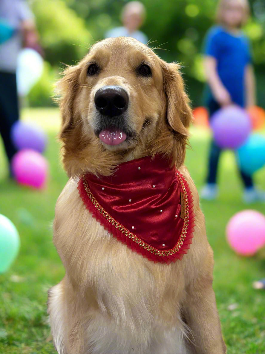 Red Dog Bandana with Pearls & Lace