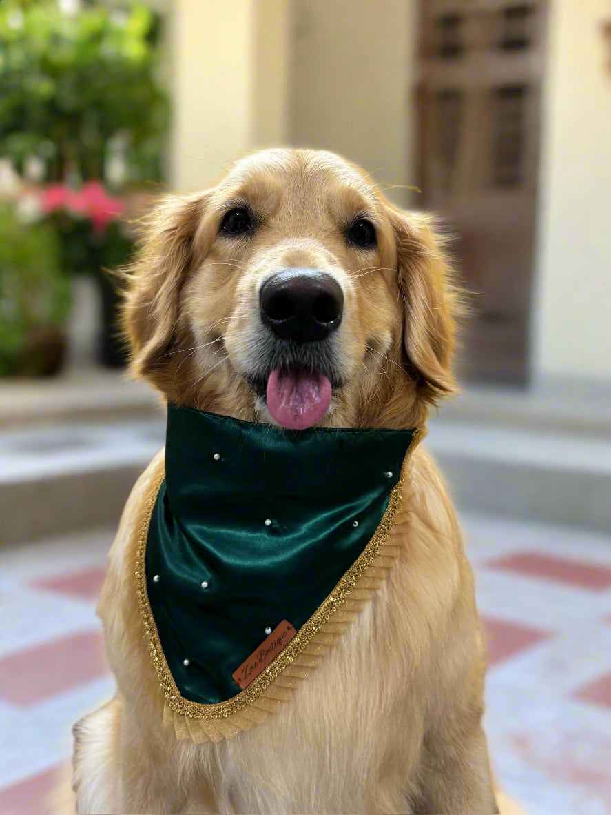 Dog wearing a green bandana