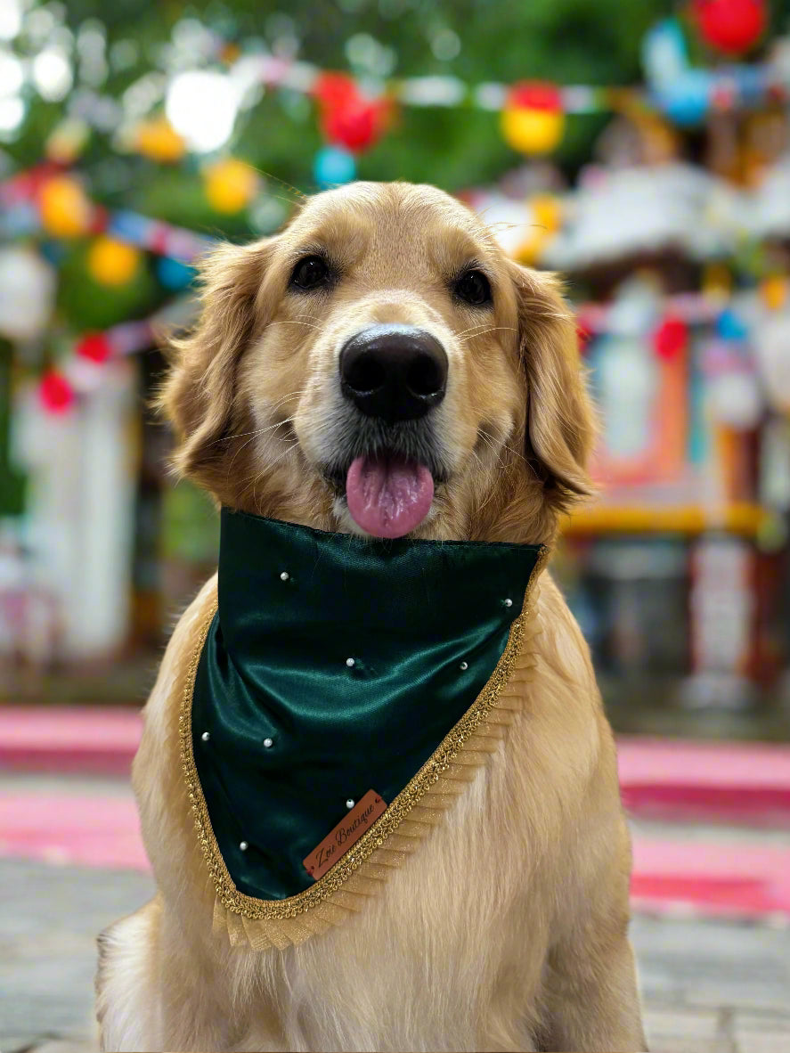 Dog wearing a green bandana with decorative elements