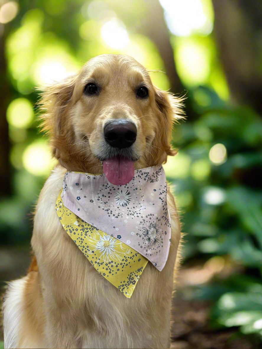 Dog wearing a yellow and baby pink bandana