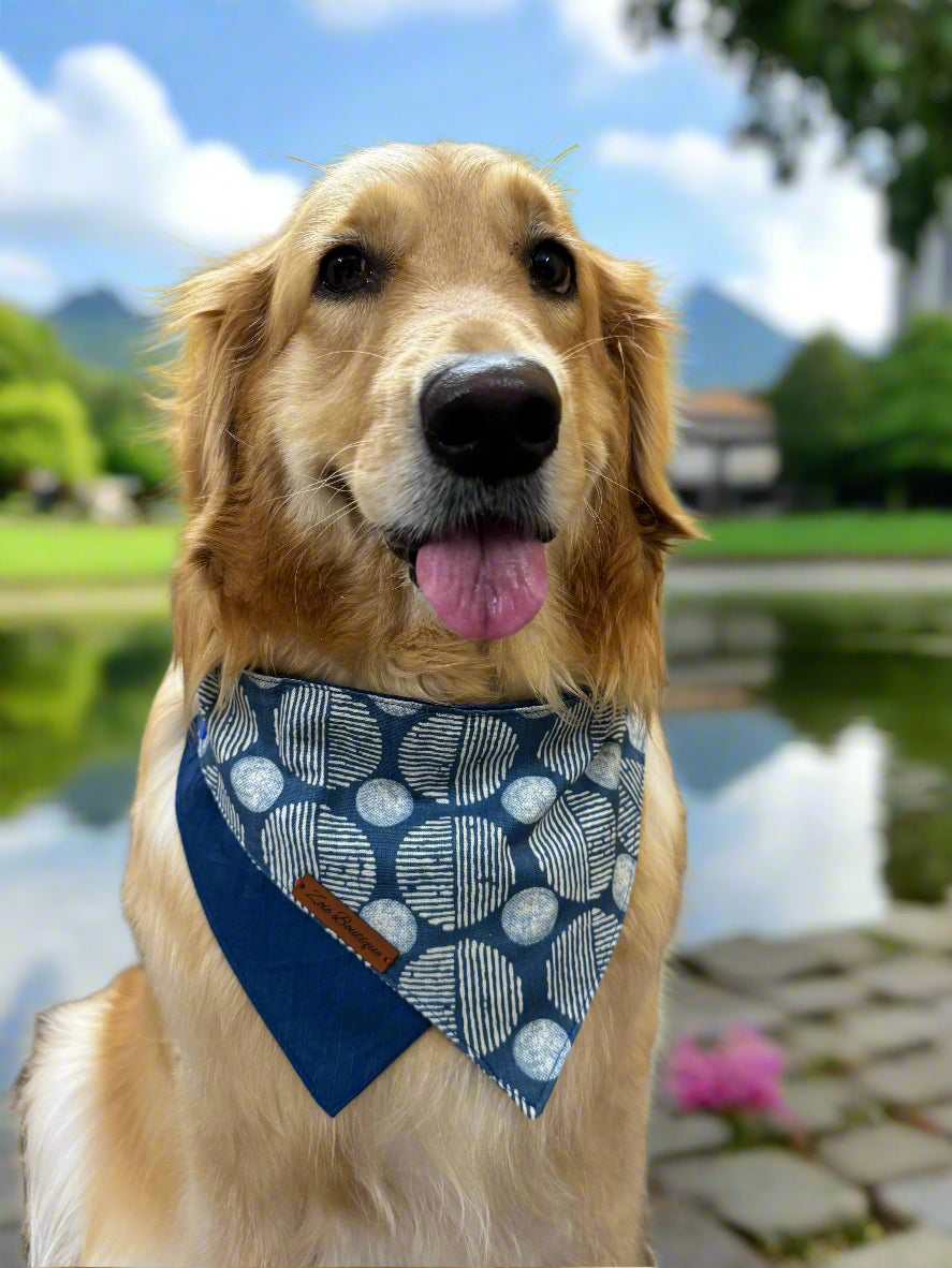 Dog wearing a blue bandana