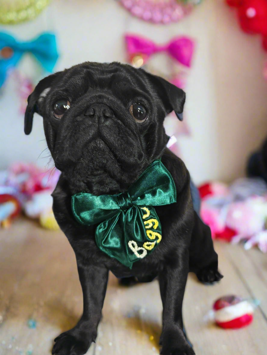 Personalized Green Dog Tinker Bell Bow with Hand Embroidered Name – Custom Pet Accessory