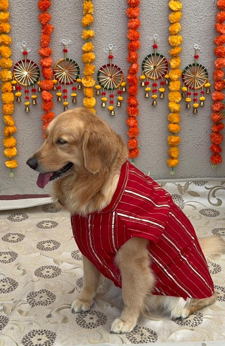Red Cotton Chanderi Dog Sherwani with Gota – Comfortable Festive Dog Outfit