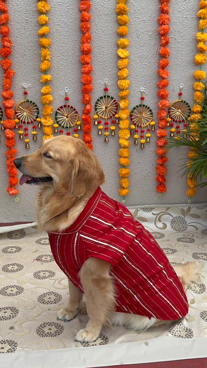 Red Cotton Chanderi Dog Sherwani with Gota – Comfortable Festive Dog Outfit