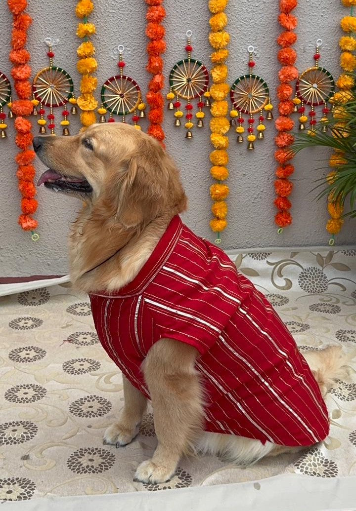 Red Cotton Chanderi Dog Sherwani with Gota – Comfortable Festive Dog Outfit