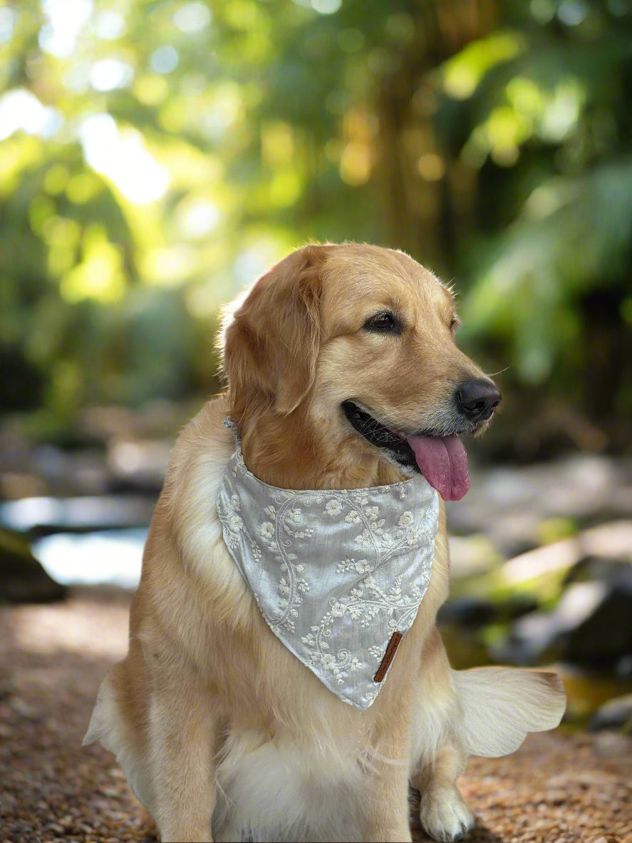Easy Peasy Grey Floral Embroidered Dog Bandana – Slip-On Style