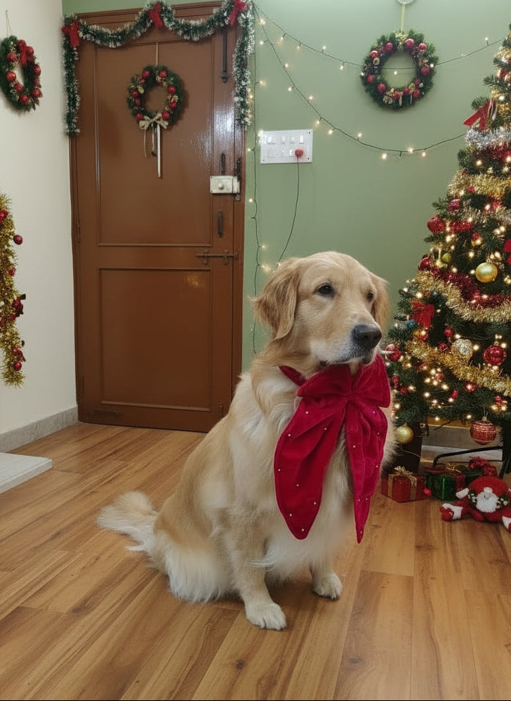 Pink Velvet Pearl Dog Bow with pearl sparkle