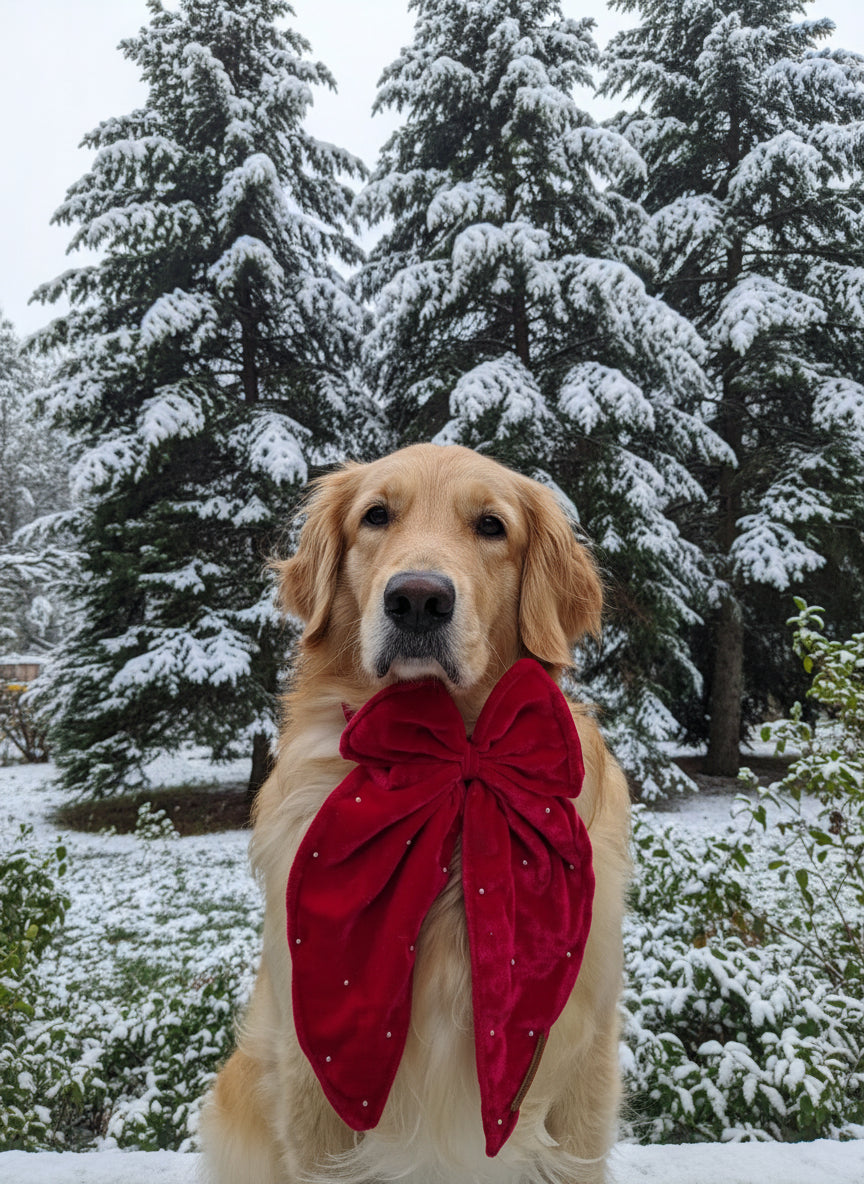 Pink Velvet Pearl Dog Bow with pearl sparkle