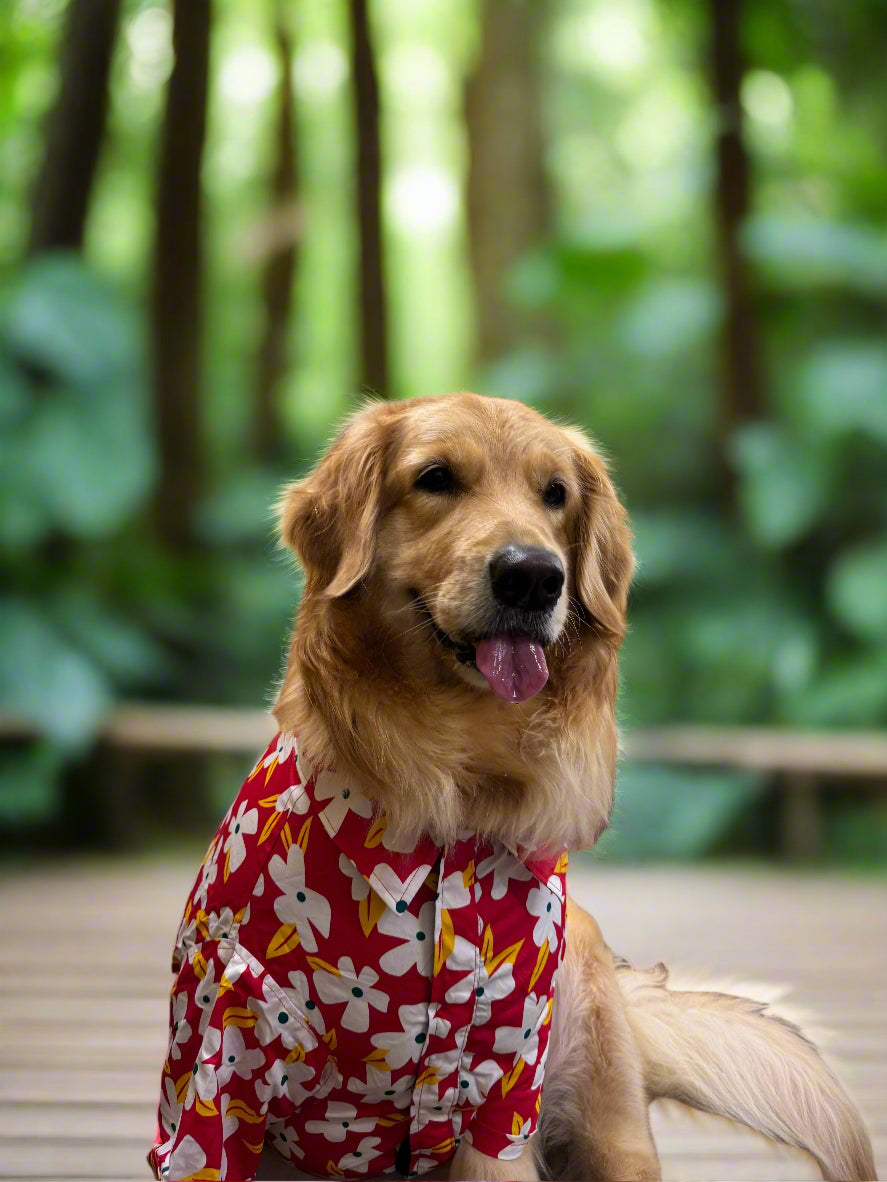 Island Bloom Dog Shirt – Red with White Flowers