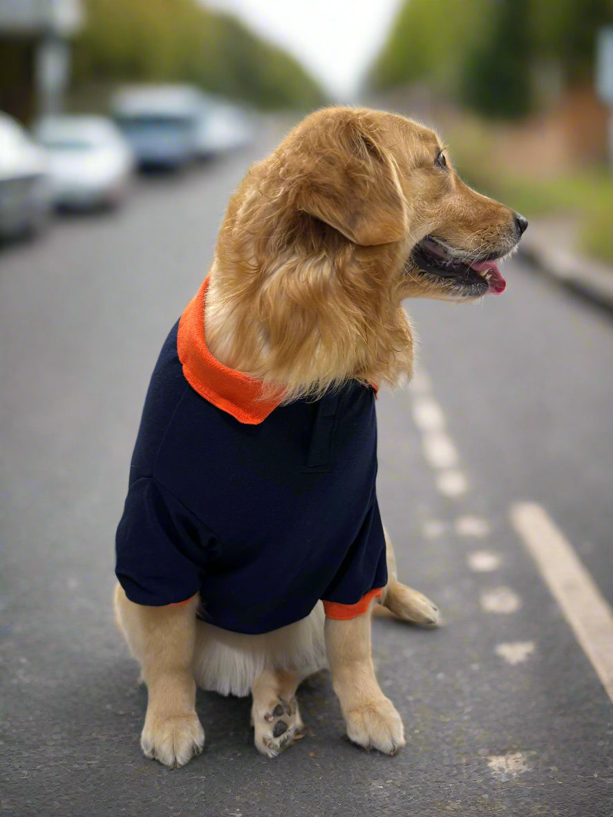 Navy Blue T-Shirt with Bright Orange Collar