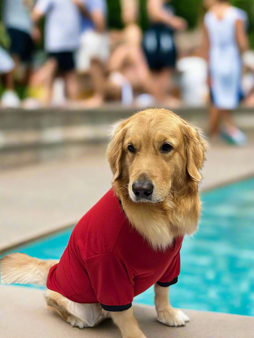 Red T-Shirt with Black Collar
