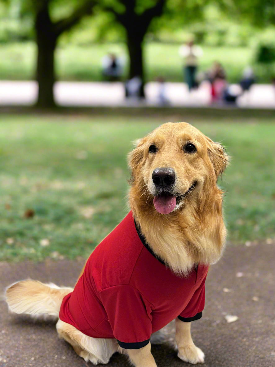 Red T-Shirt with Black Collar