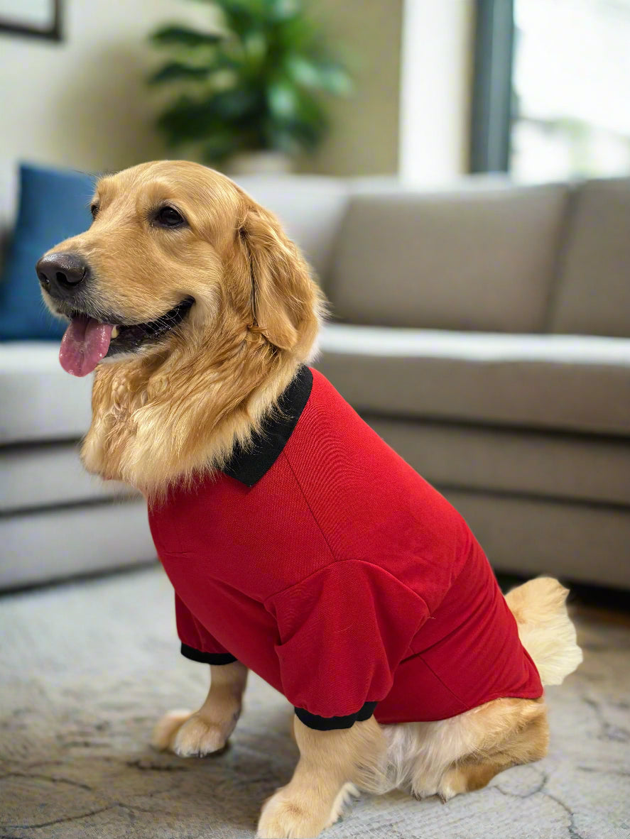 Red T-Shirt with Black Collar
