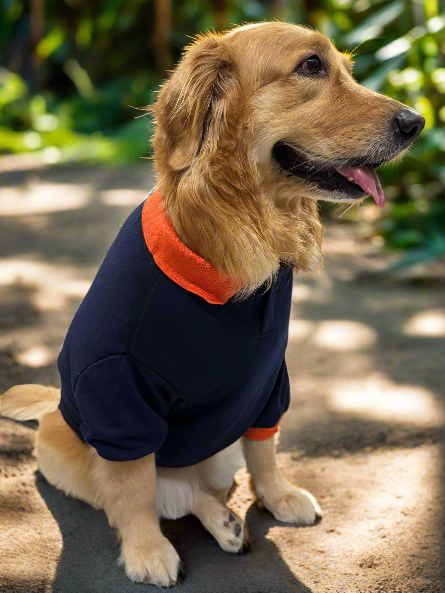 Navy Blue T-Shirt with Bright Orange Collar