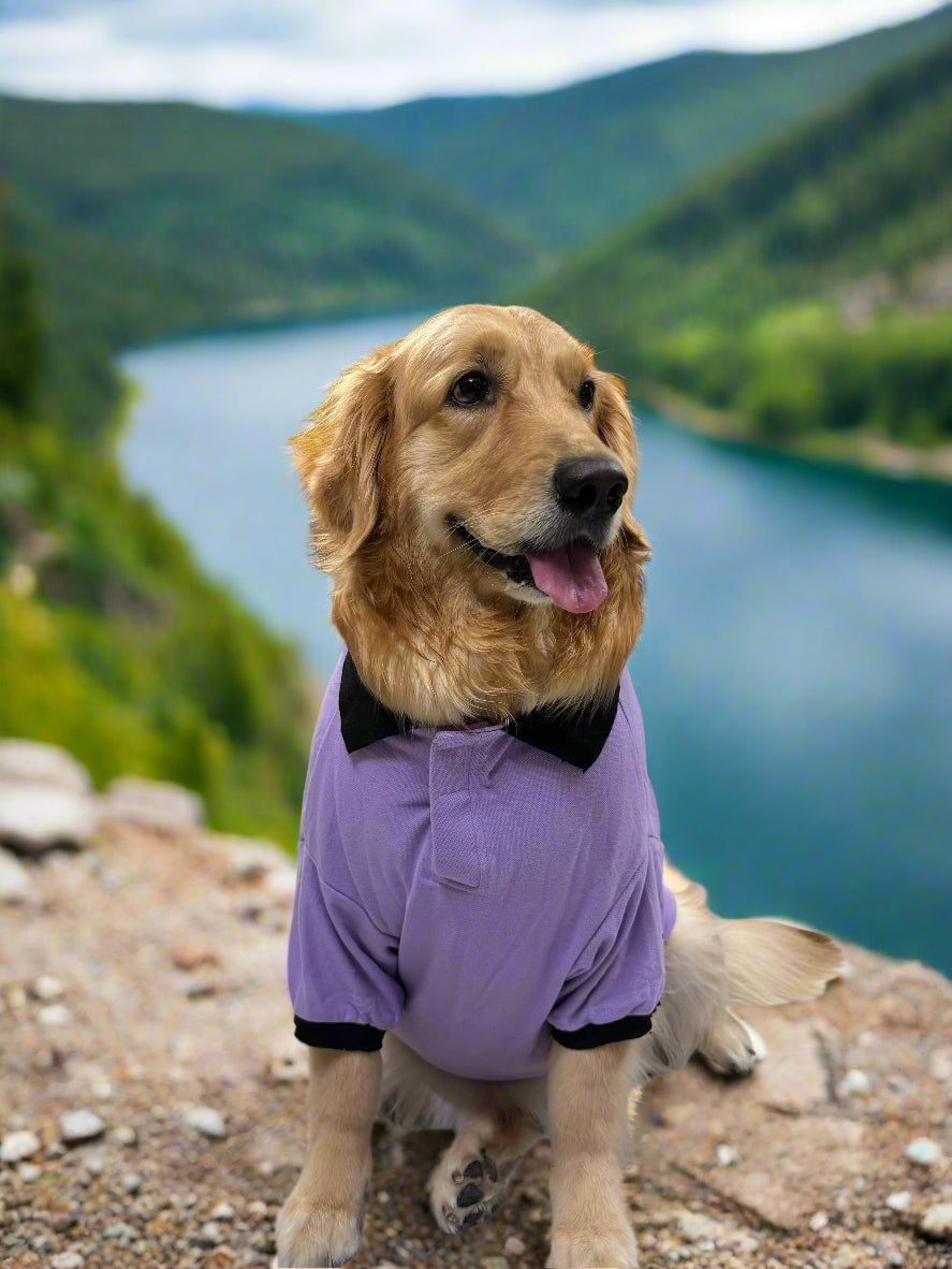 Lavender Dog T-Shirt with Black Trim