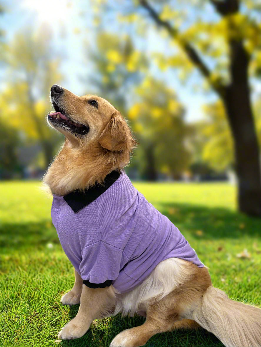 Lavender Dog T-Shirt with Black Trim