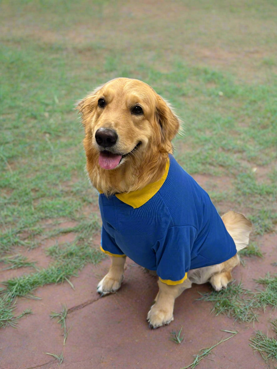 Vibrant Blue T-Shirt with Yellow Trim