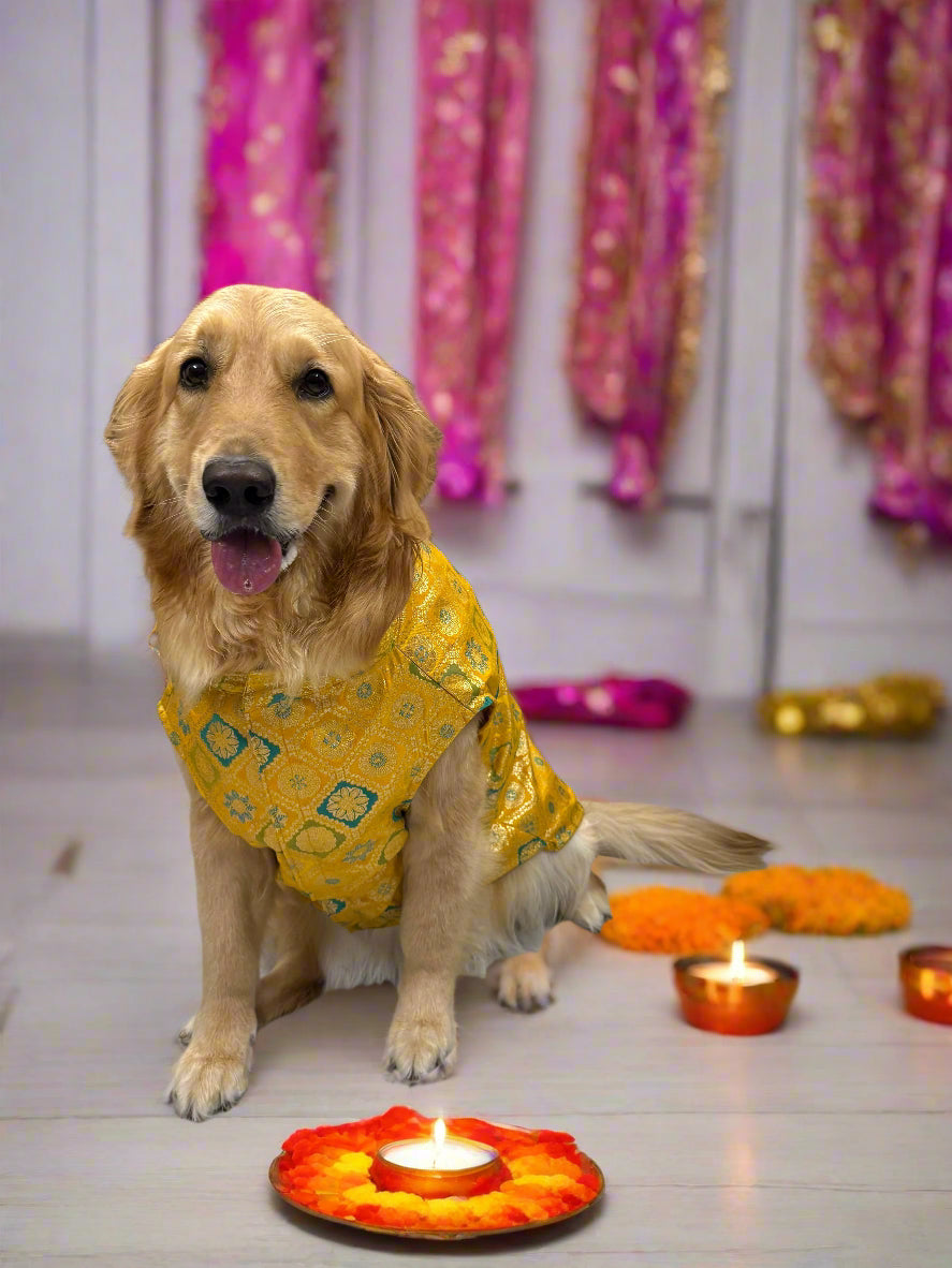Sunshine Yellow Jama Sherwani